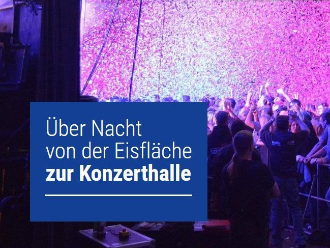 Screenshot der Business-Unterseite der Donau-Arena